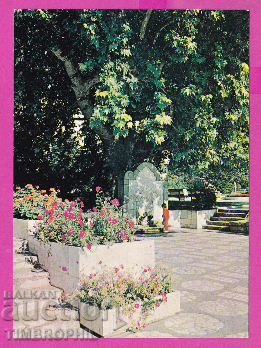 Auction  310829 / Sandanski - Old Chinar 1988 September PK