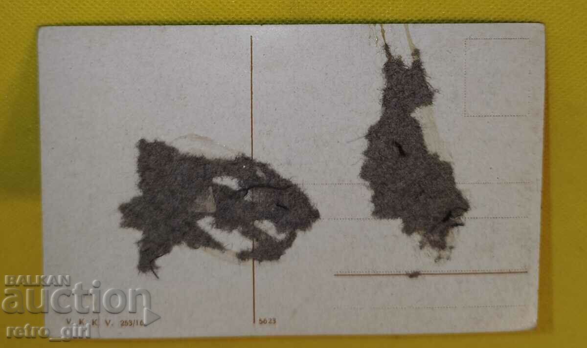 Vând o carte poștală veche, o fotografie. cu preț 14.90 BGN | € 7.62 Vând o carte poștală veche, o fotografie. cu preț 14.90 BGN | € 7.62