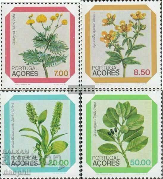 Португалия - Азорески о-ви 1981 Растения (**) чиста серия