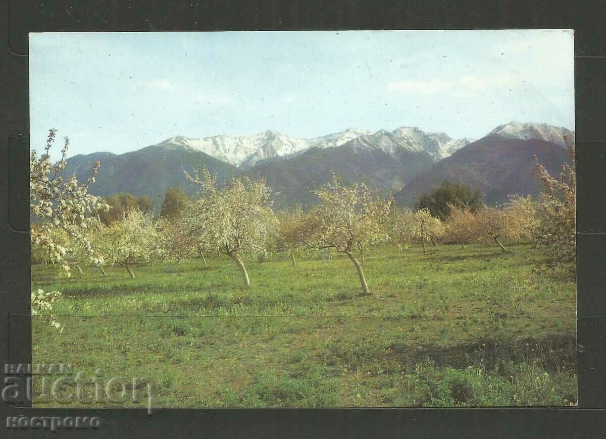 Μπάνσκο Ταχυδρομική κάρτα - A 3308