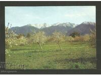 Bansko Post card - A 3308