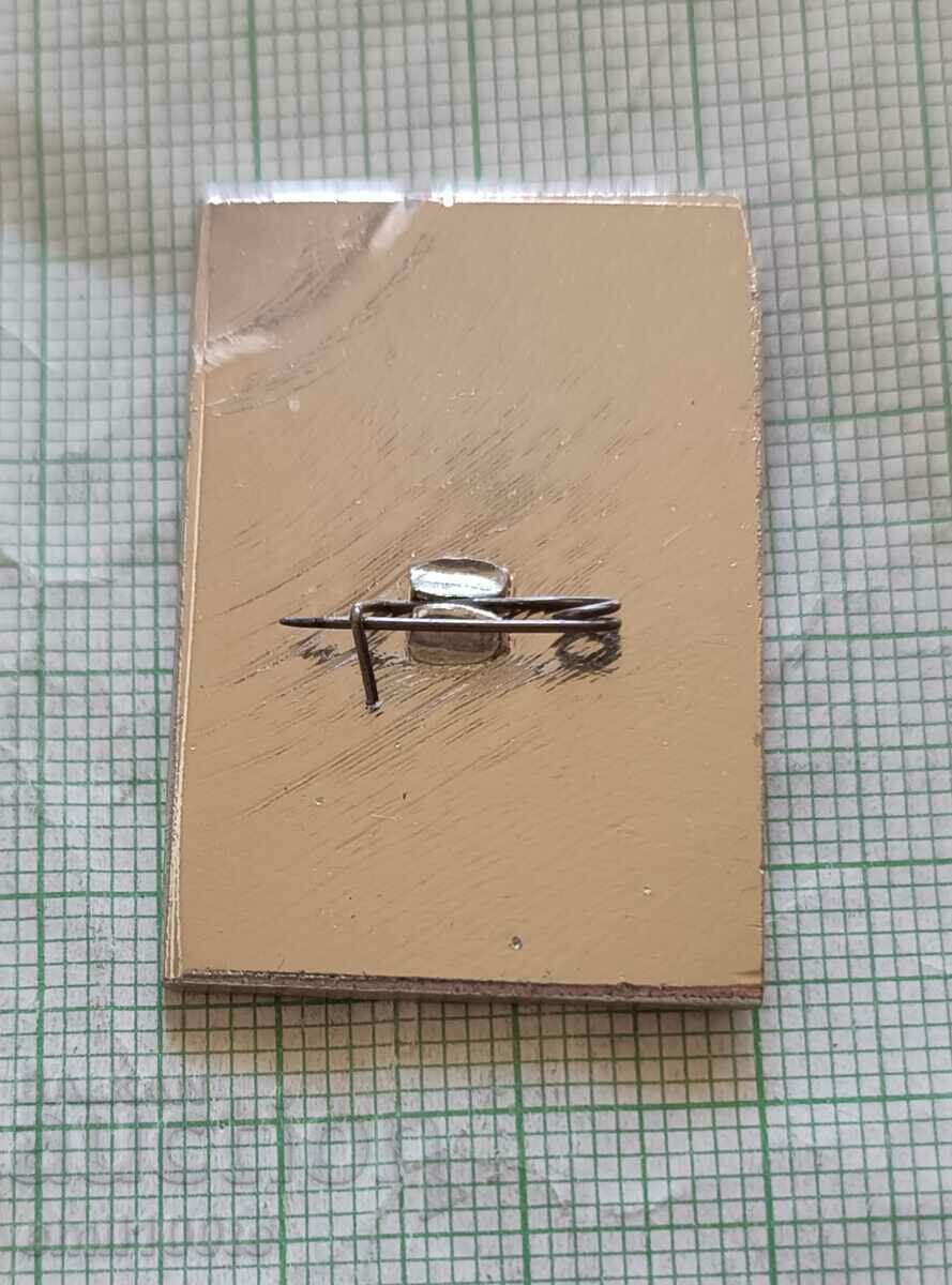 Delivery of Badge - Participated in the construction of the Grozny GPP