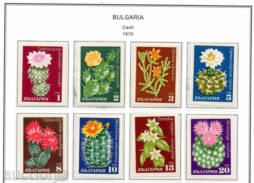 1970. Bulgaria. Cactusi.