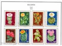 1970. Bulgaria. Cactusi.