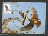 Fauna Macedonia Post card - A 3353