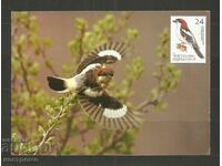 Fauna Macedonia Post card - A 3354