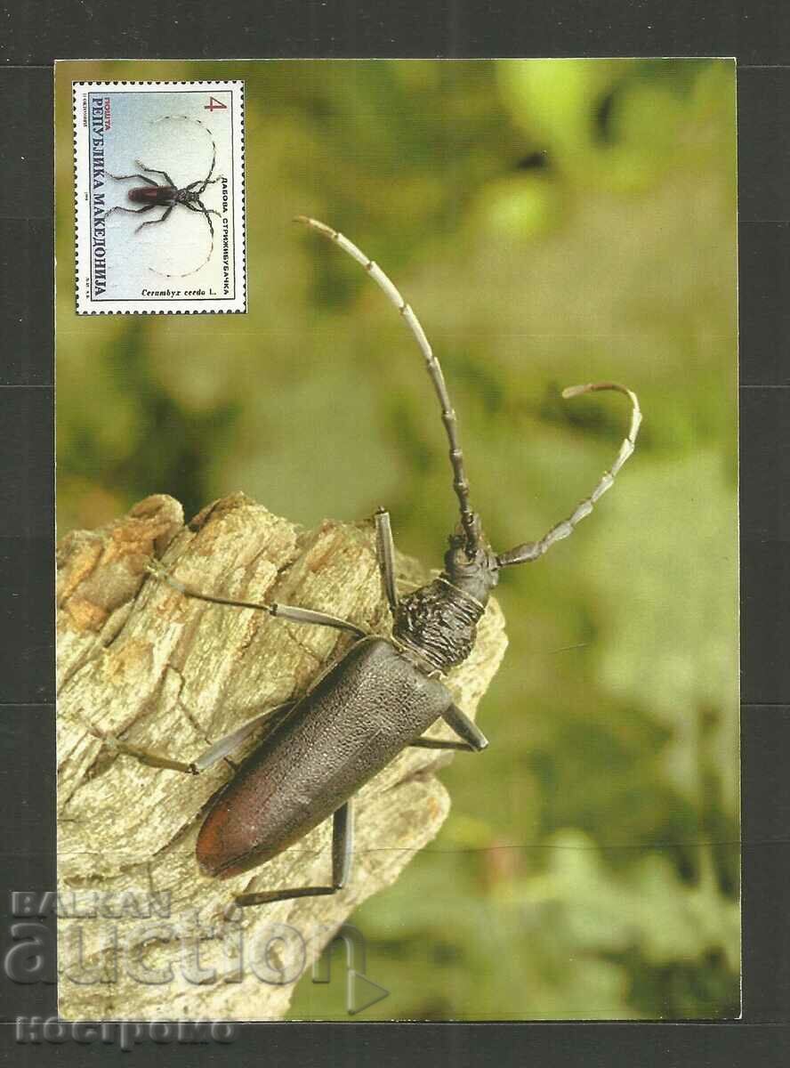 Fauna Macedonia Post card - A 3355