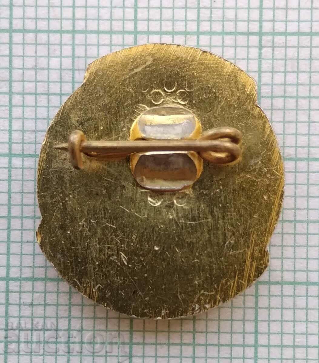 Delivery of 15665 Badge - SMEK Bobov dol