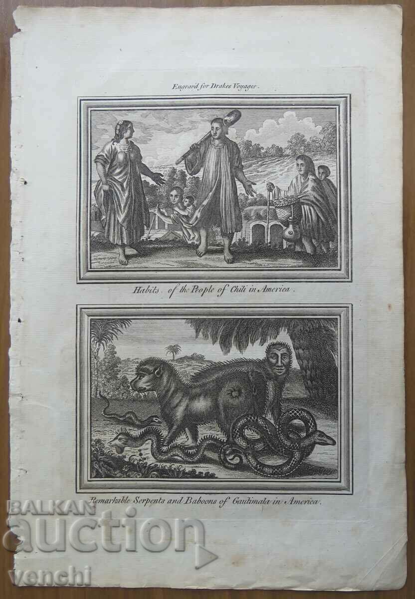 1771 - ΧΑΡΑΚΤΙΚΟ - ΑΝΘΡΩΠΟΙ, ΖΩΑ ΧΙΛΗ, ΑΜΕΡΙΚΗ - ΠΡΩΤΟΤΥΠΟ