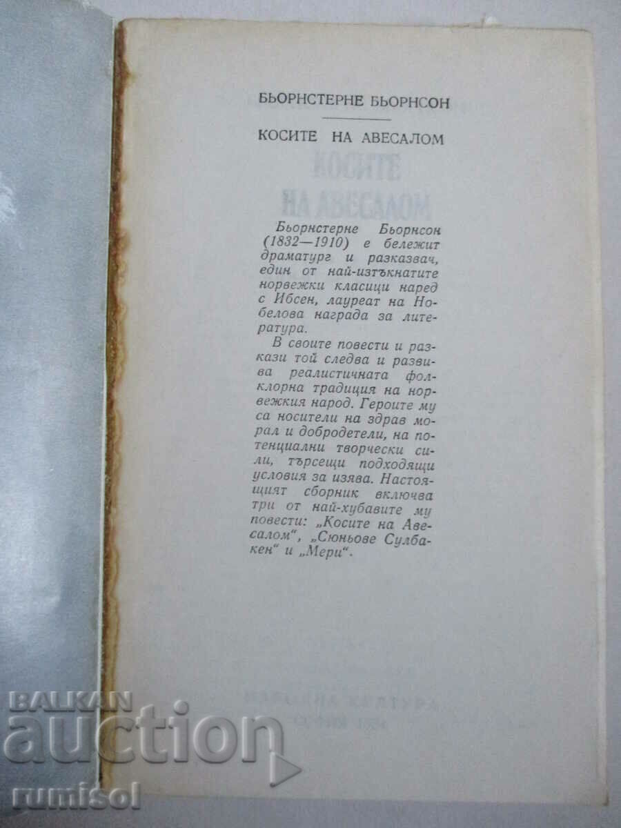 Absalom's Hair - Björnsterne Björnsson with price € 1.39 | 2.72 BGN