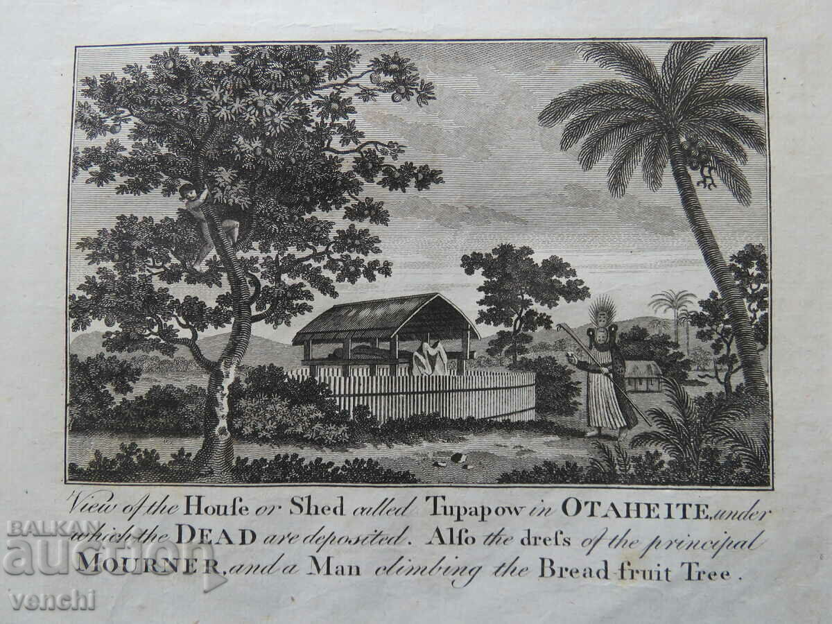 Auction 1787 - ENGRAVING - TAHITI - ORIGINAL Auction 1787 - ENGRAVING - TAHITI - ORIGINAL