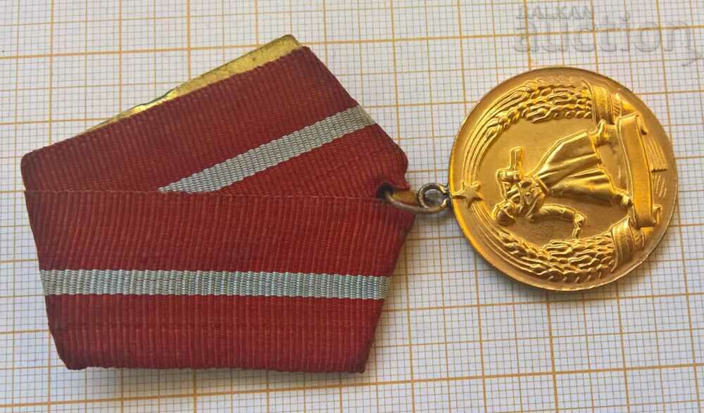 Combat Merit Medal