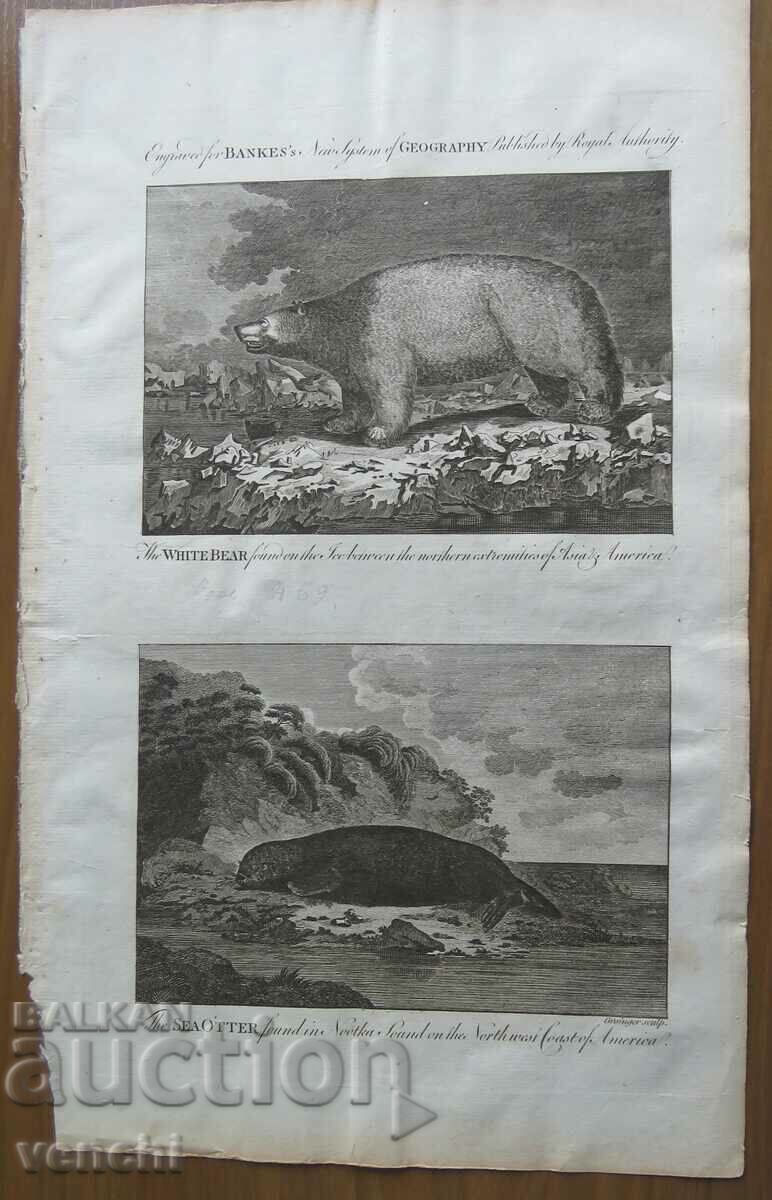 1788 - ENGRAVING - THE DISCOVERIES OF CAPTAIN COOK - ORIGINAL