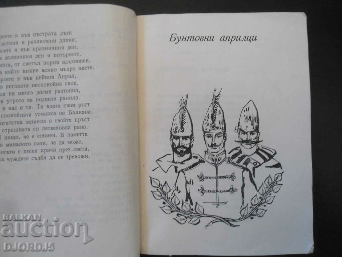 Auction Pioneer compass Auction Pioneer compass