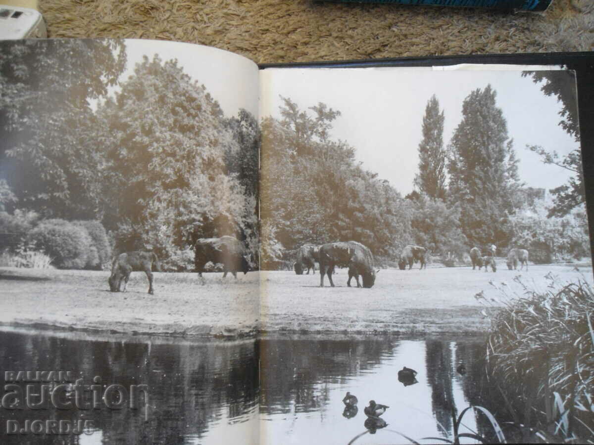Φωτογραφίες ζωολογικού κήπου με τιμή 10.00 BGN | € 5.11 Φωτογραφίες ζωολογικού κήπου με τιμή 10.00 BGN | € 5.11