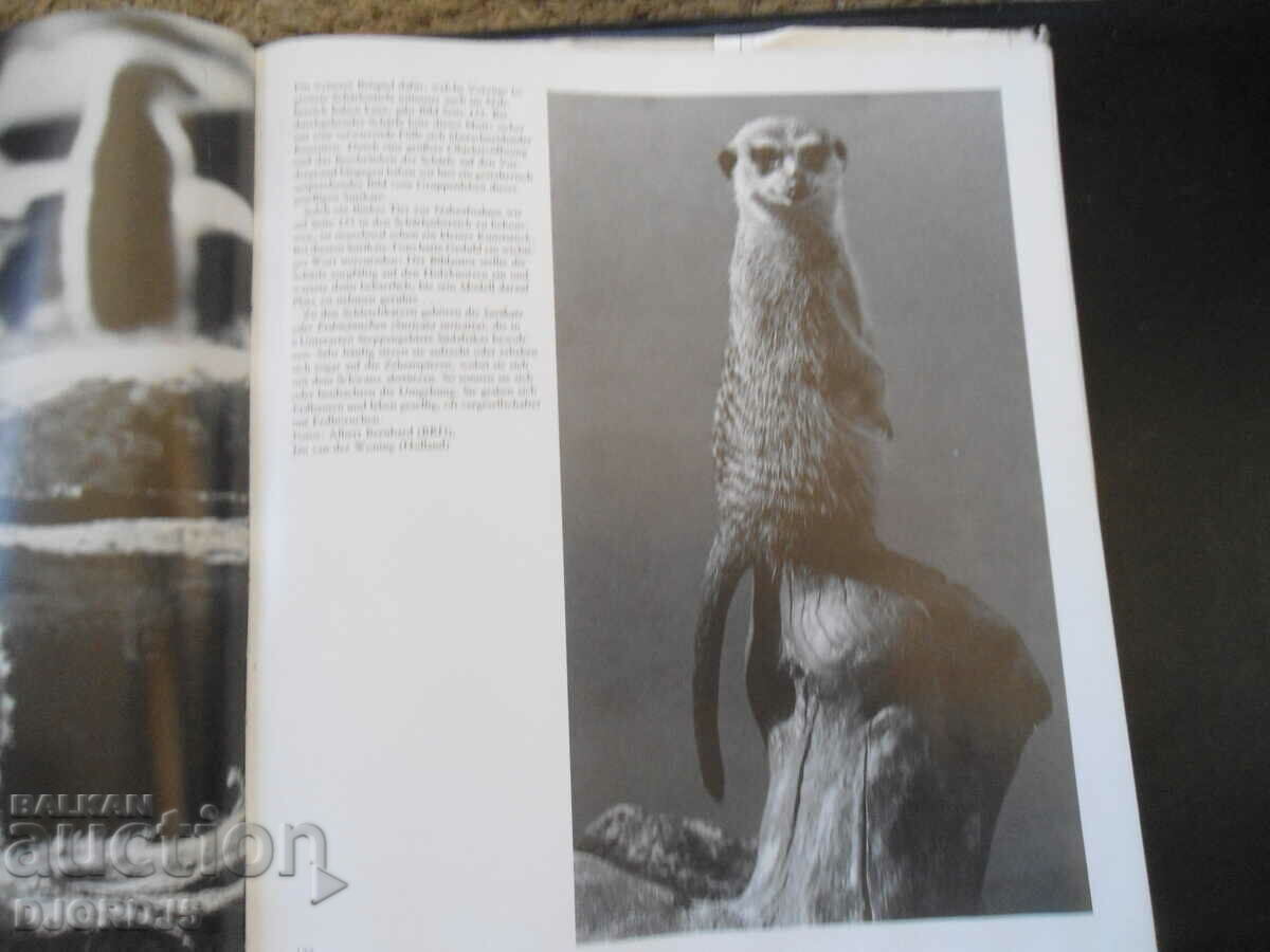 Φωτογραφίες ζωολογικού κήπου - 5 Φωτογραφίες ζωολογικού κήπου - 5