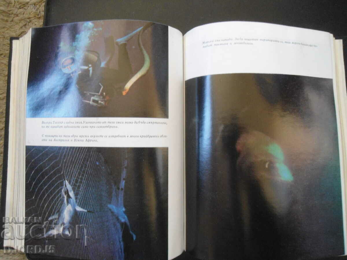 Ο κόσμος κάτω από το νερό, Χανς Χας - 6 Ο κόσμος κάτω από το νερό, Χανς Χας - 6