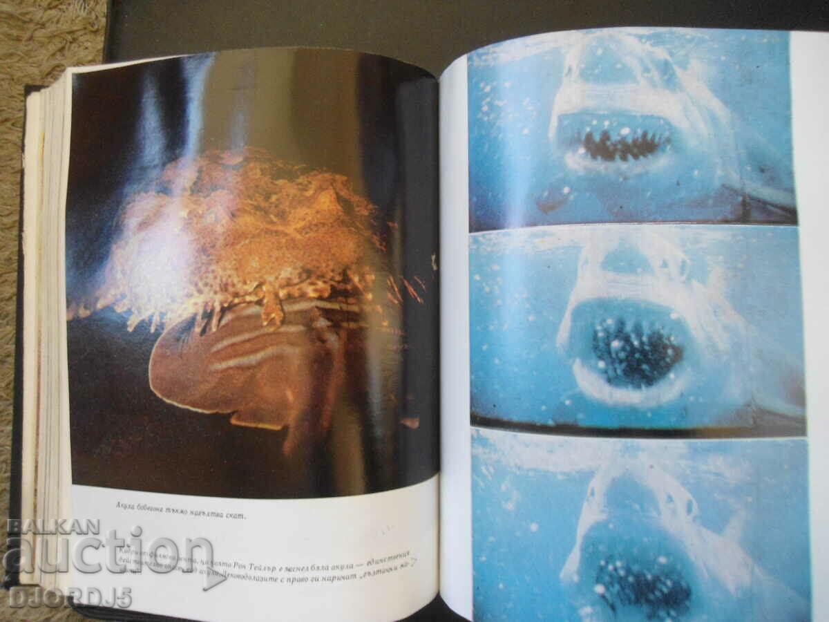 Ο κόσμος κάτω από το νερό, Χανς Χας - 7 Ο κόσμος κάτω από το νερό, Χανς Χας - 7