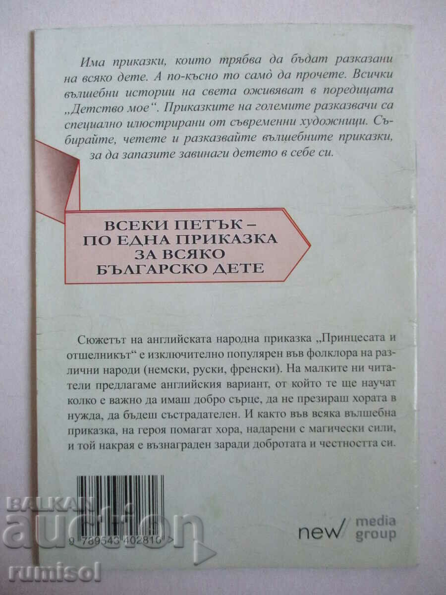 The Princess and the Hermit - An English Folktale - 6