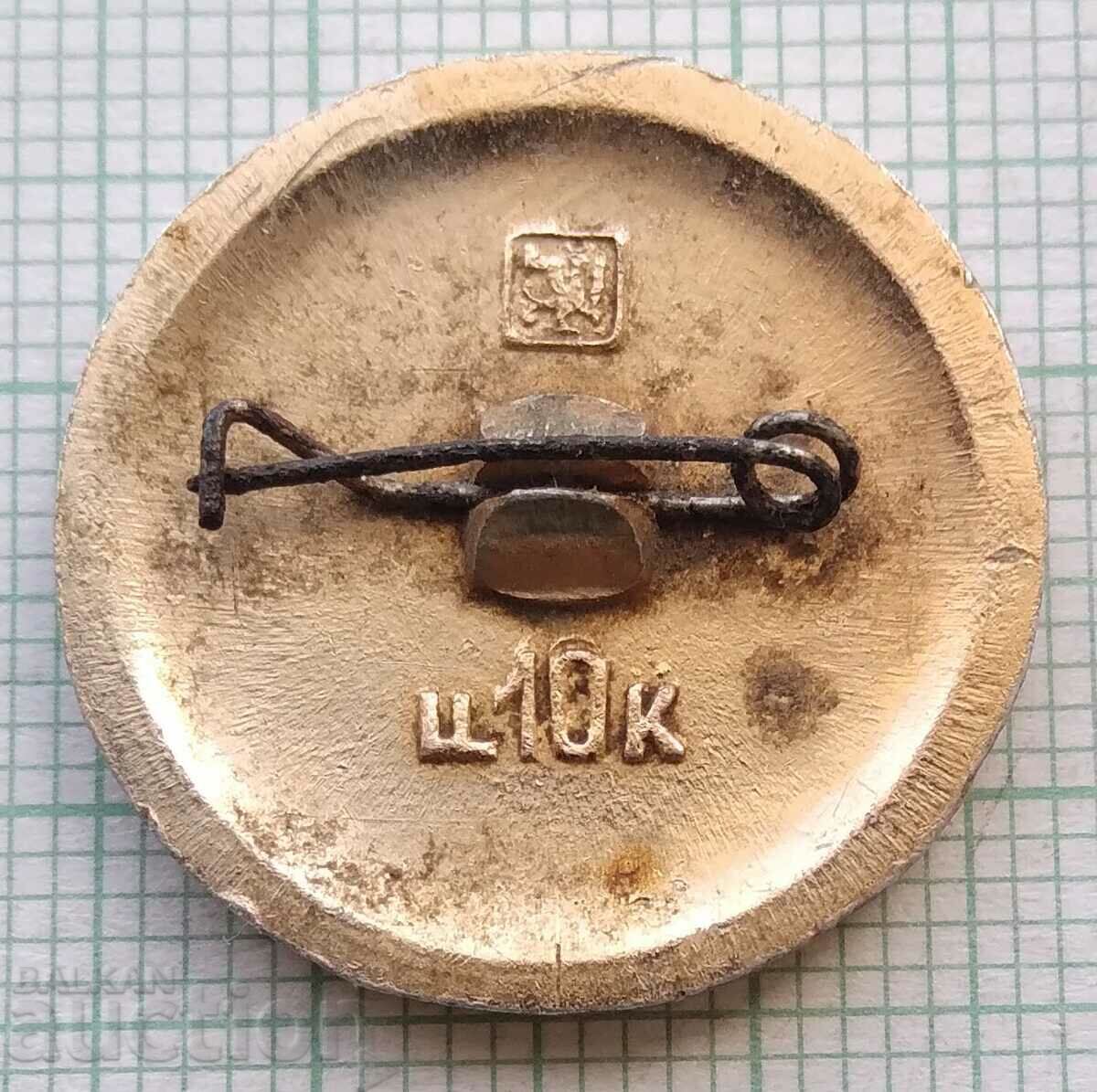 Auction 15693 Badge - Ancient coat of arms - Aleksin USSR Auction 15693 Badge - Ancient coat of arms - Aleksin USSR