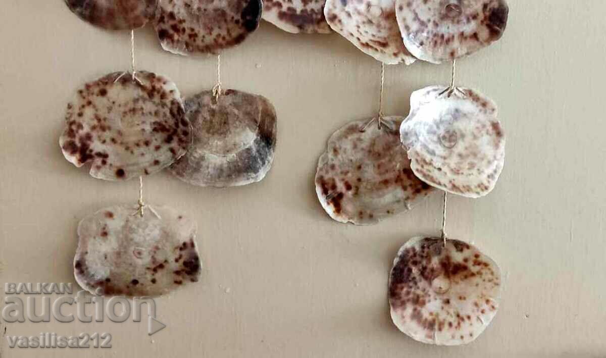 Аукцион Вятърен чан с големи миди