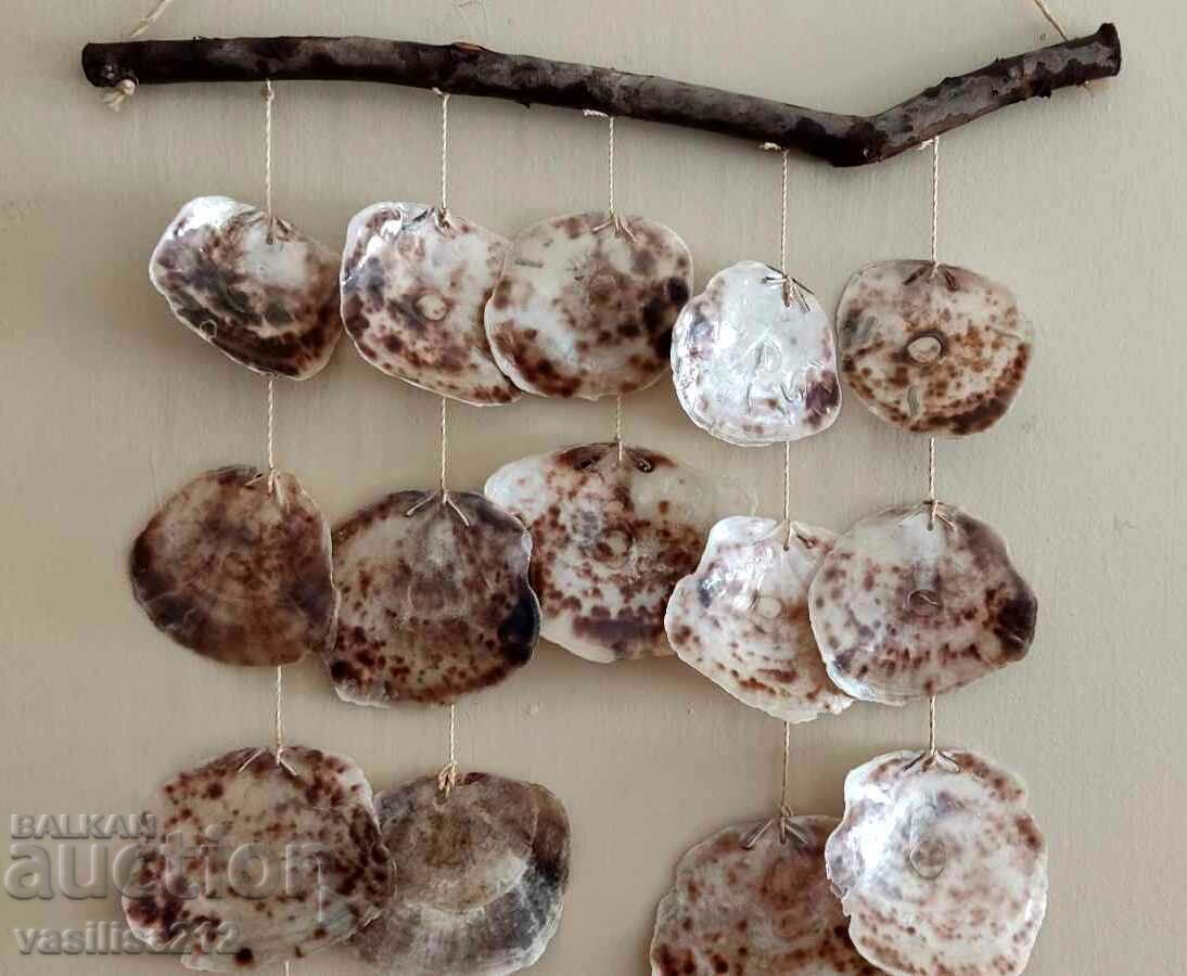 Вятърен чан с големи миди