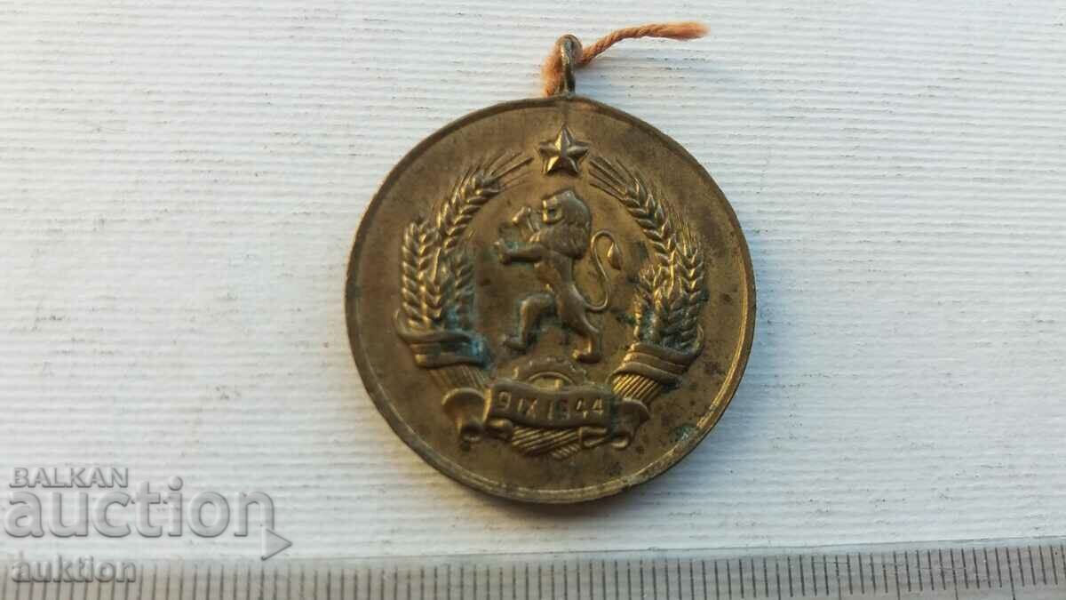 Delivery of BRONZE MEDAL - MOTHER OF MANY CHILDREN