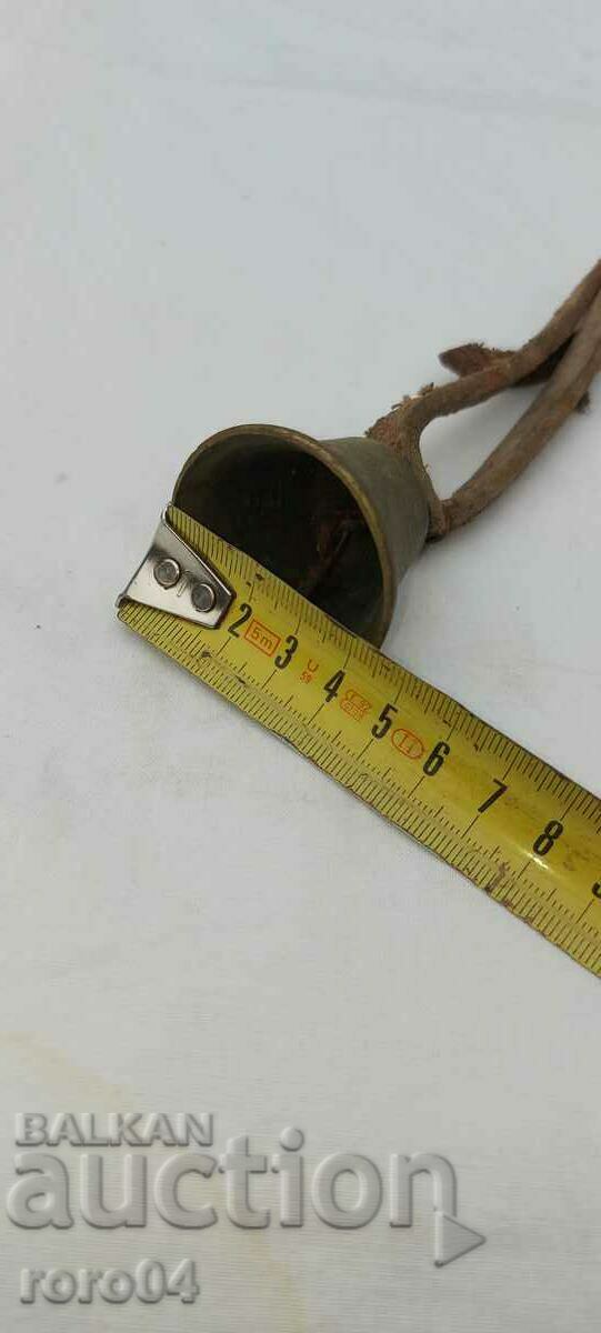 Livrarea BELL - CHAN - BAIAT