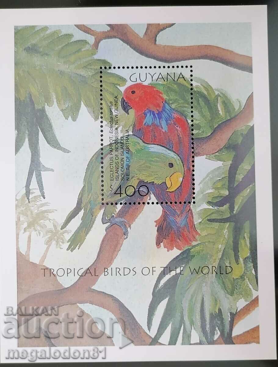 Delivery of Guyana - tropical fauna, birds Delivery of Guyana - tropical fauna, birds