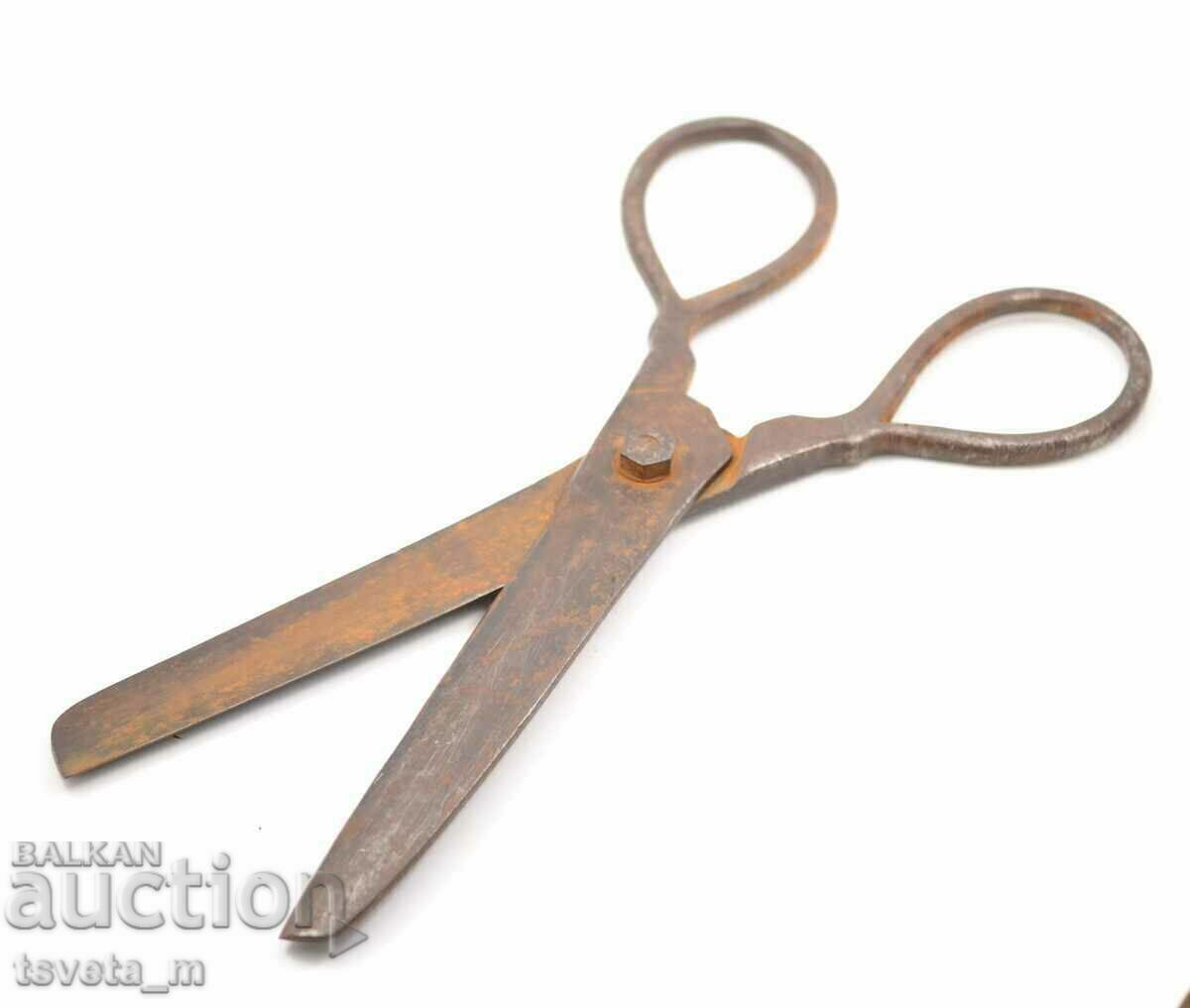 Large Tersian / tailor's scissors, wrought iron, 19th century - 5