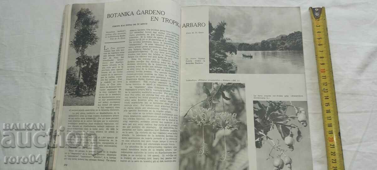 OLD MAGAZINE - ESPERANTO - 5