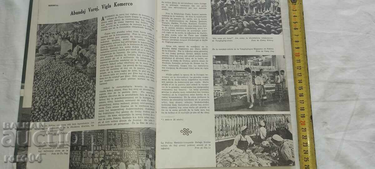 Licitație REVISTA VECHE - ESPERANTO