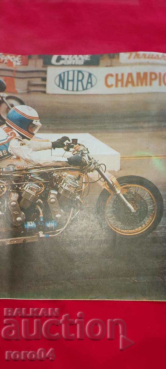 POSTER - POSTER - POSTER with price 13.11 BGN | € 6.70 POSTER - POSTER - POSTER with price 13.11 BGN | € 6.70