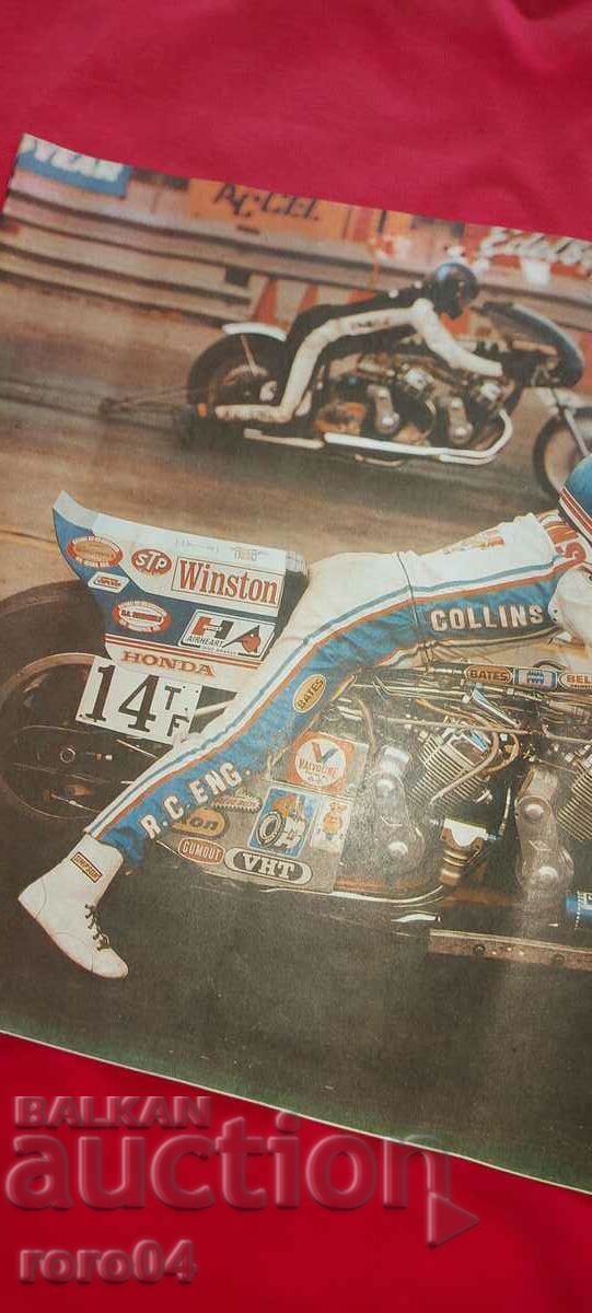 Auction POSTER - POSTER - POSTER Auction POSTER - POSTER - POSTER