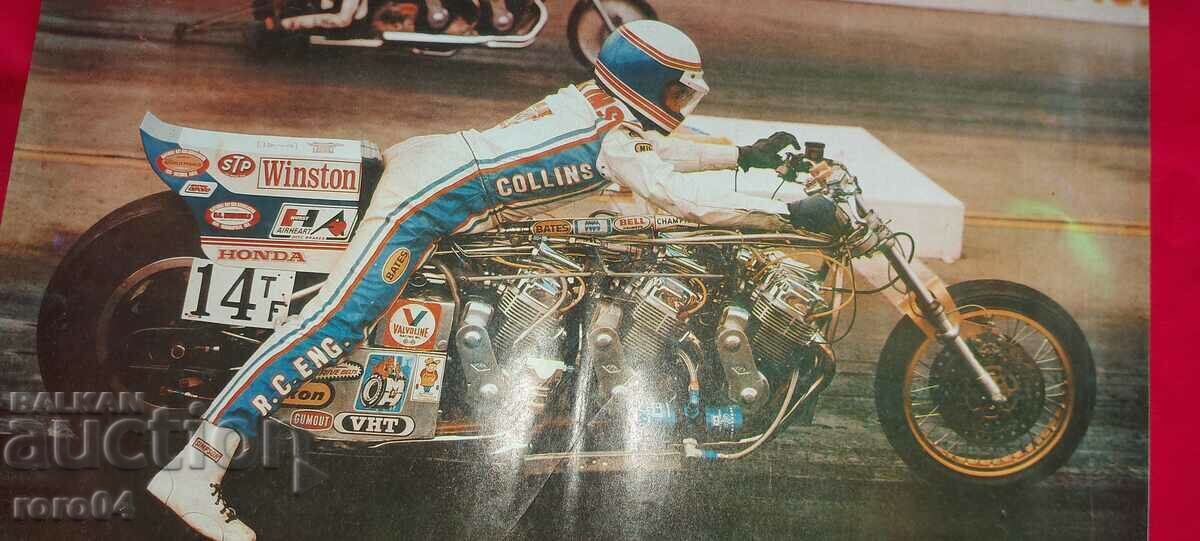 POSTER - POSTER - POSTER with price 11.11 BGN | € 5.68