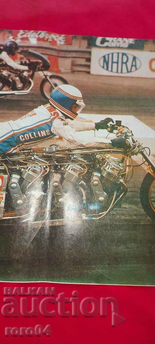 Auction  POSTER - POSTER - POSTER