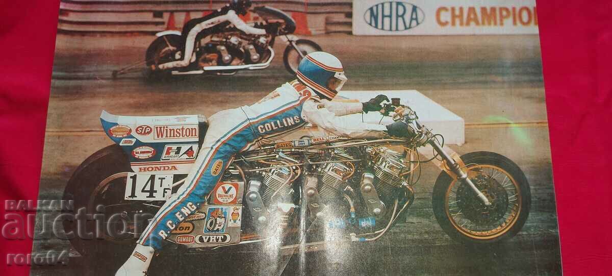 POSTER - POSTER - POSTER - 5