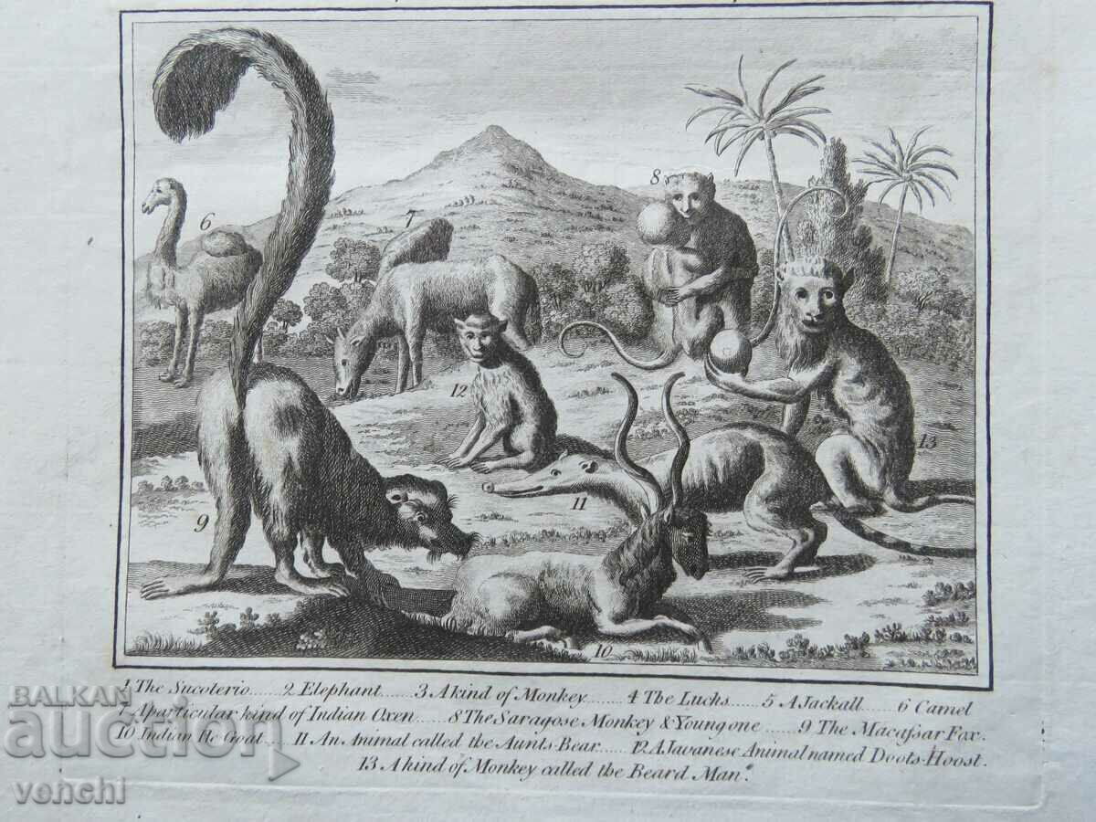 Delivery of 1780 - ENGRAVING - MORRIS - ORIGINAL Delivery of 1780 - ENGRAVING - MORRIS - ORIGINAL