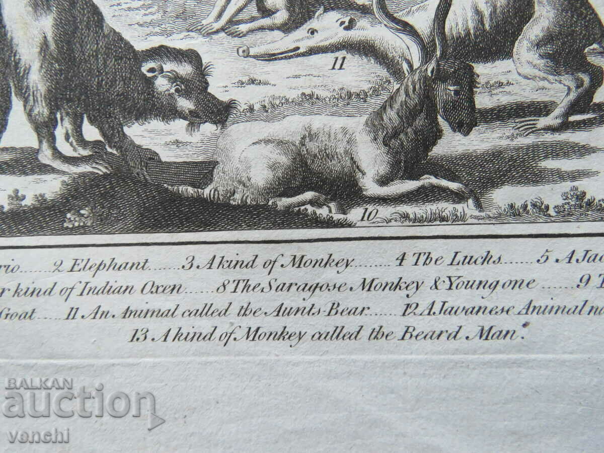 1780 - ENGRAVING - MORRIS - ORIGINAL - 5 1780 - ENGRAVING - MORRIS - ORIGINAL - 5