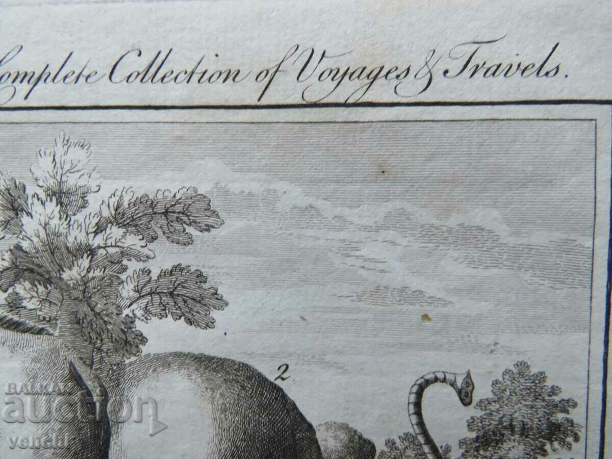 1780 - ENGRAVING - MORRIS - ORIGINAL - 6 1780 - ENGRAVING - MORRIS - ORIGINAL - 6