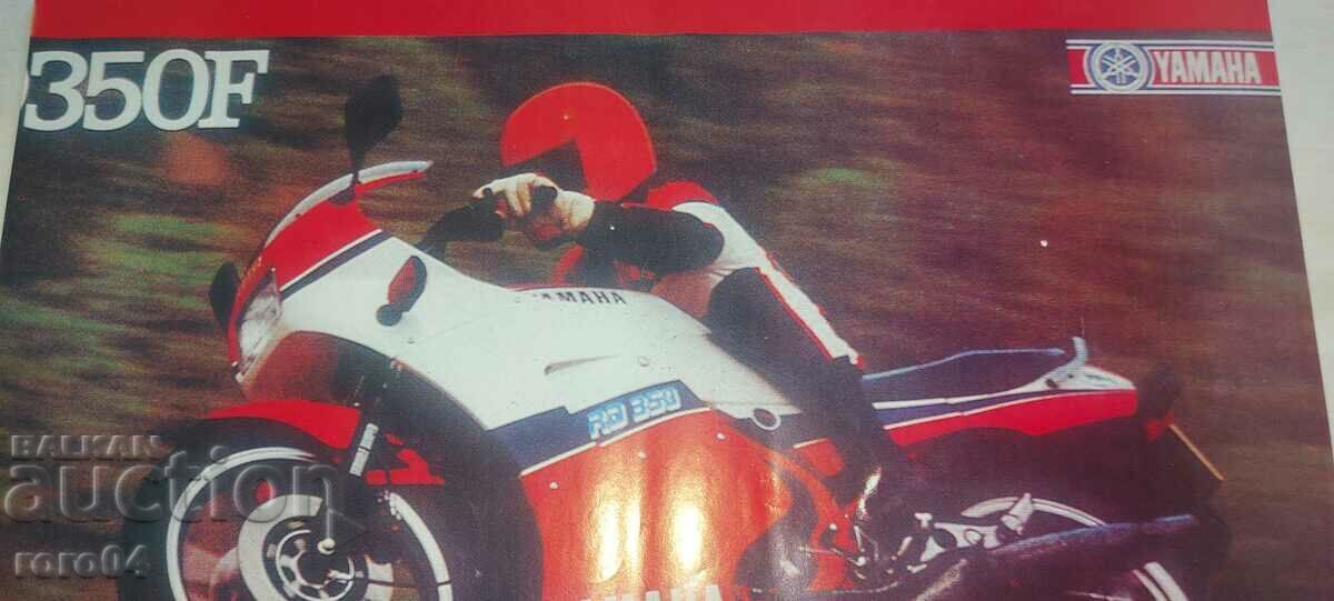 Auction  POSTER - POSTER - POSTER