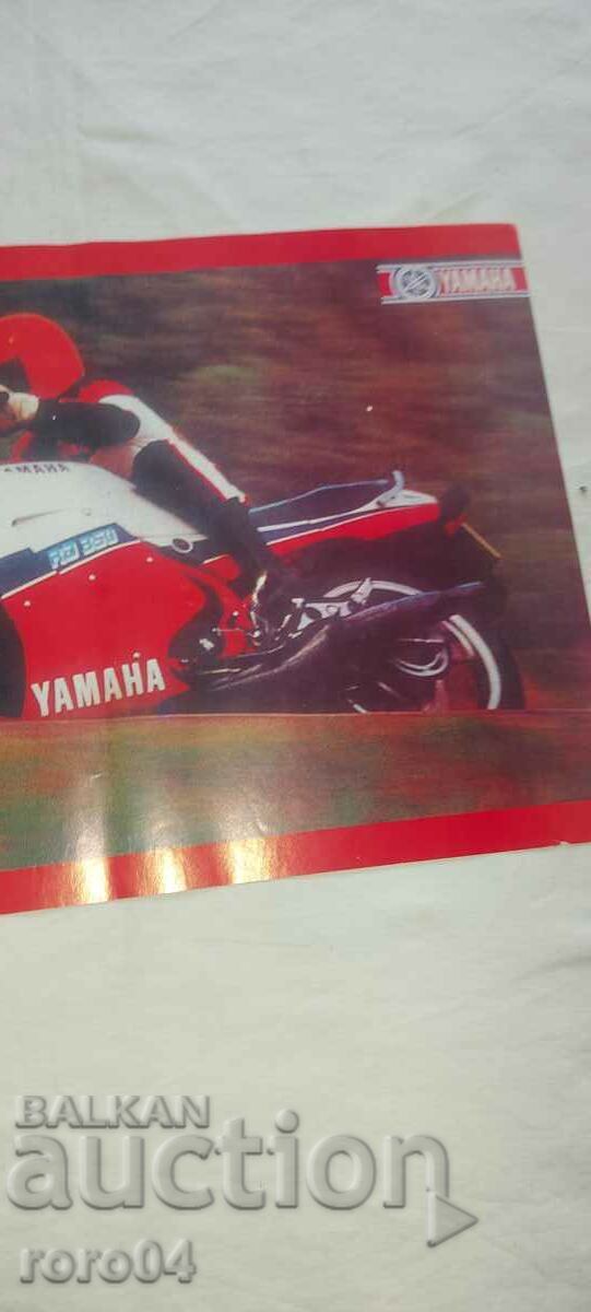 POSTER - POSTER - POSTER - 7