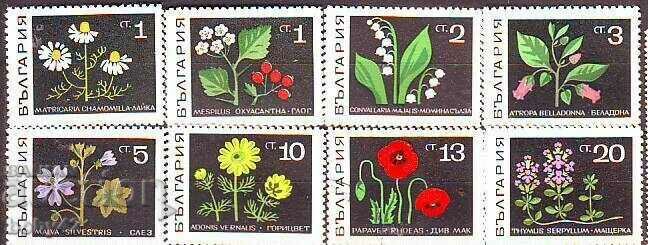 BC 1922 -9279 Herbs 1.60