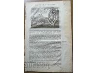 1670 - GRAVURA - AFRICA, ETIOPIA - ORIGINAL