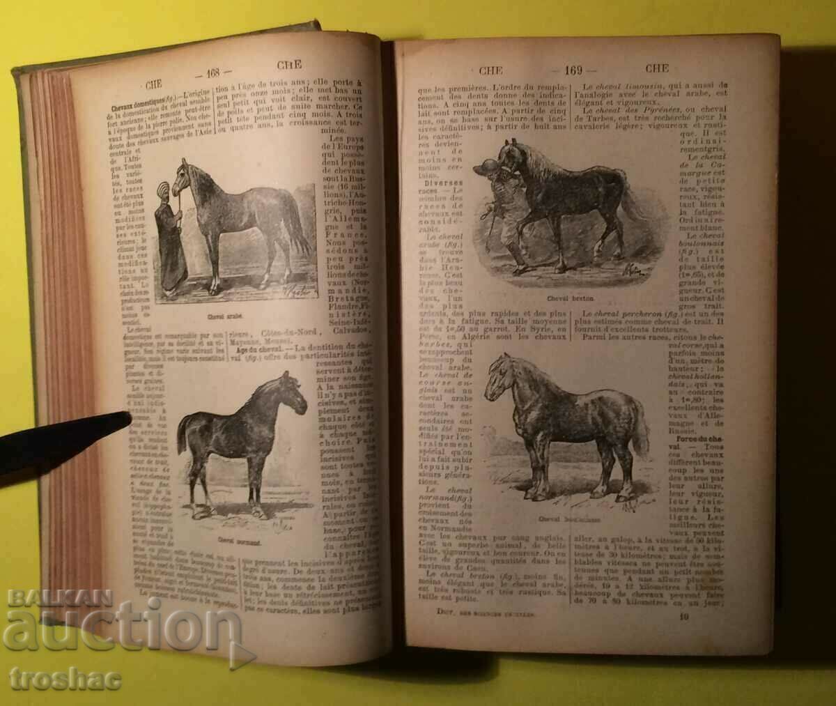 Delivery of Old Book DICTIONARY OF GENERAL SCIENCES LIBRARY before 1945.