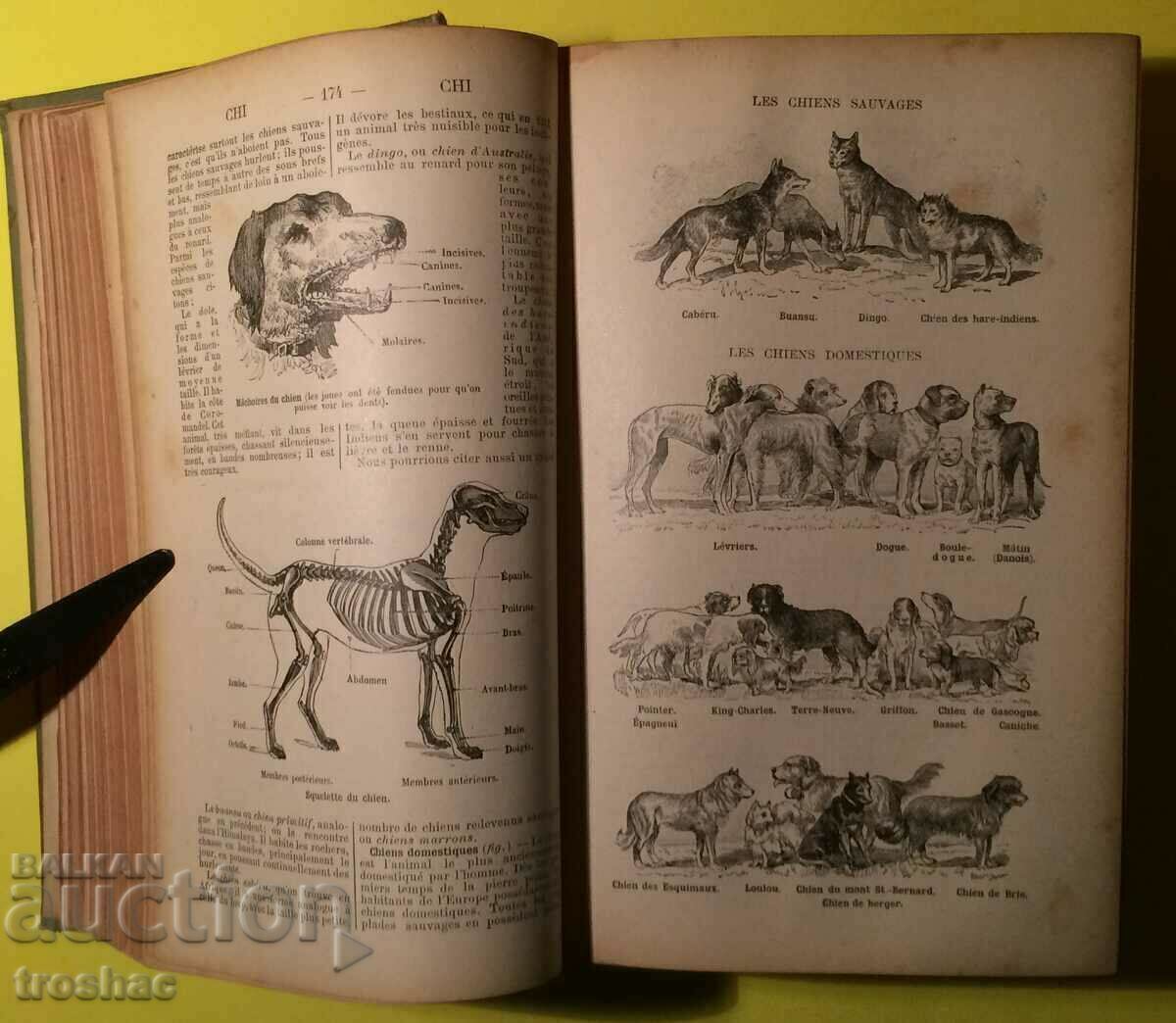 Παλαιό Βιβλίο ΛΕΞΙΚΟ ΓΕΝΙΚΩΝ ΕΠΙΣΤΗΜΩΝ ΒΙΒΛΙΟΘΗΚΗ πριν από το 1945. Παλαιό Βιβλίο ΛΕΞΙΚΟ ΓΕΝΙΚΩΝ ΕΠΙΣΤΗΜΩΝ ΒΙΒΛΙΟΘΗΚΗ πριν από το 1945.