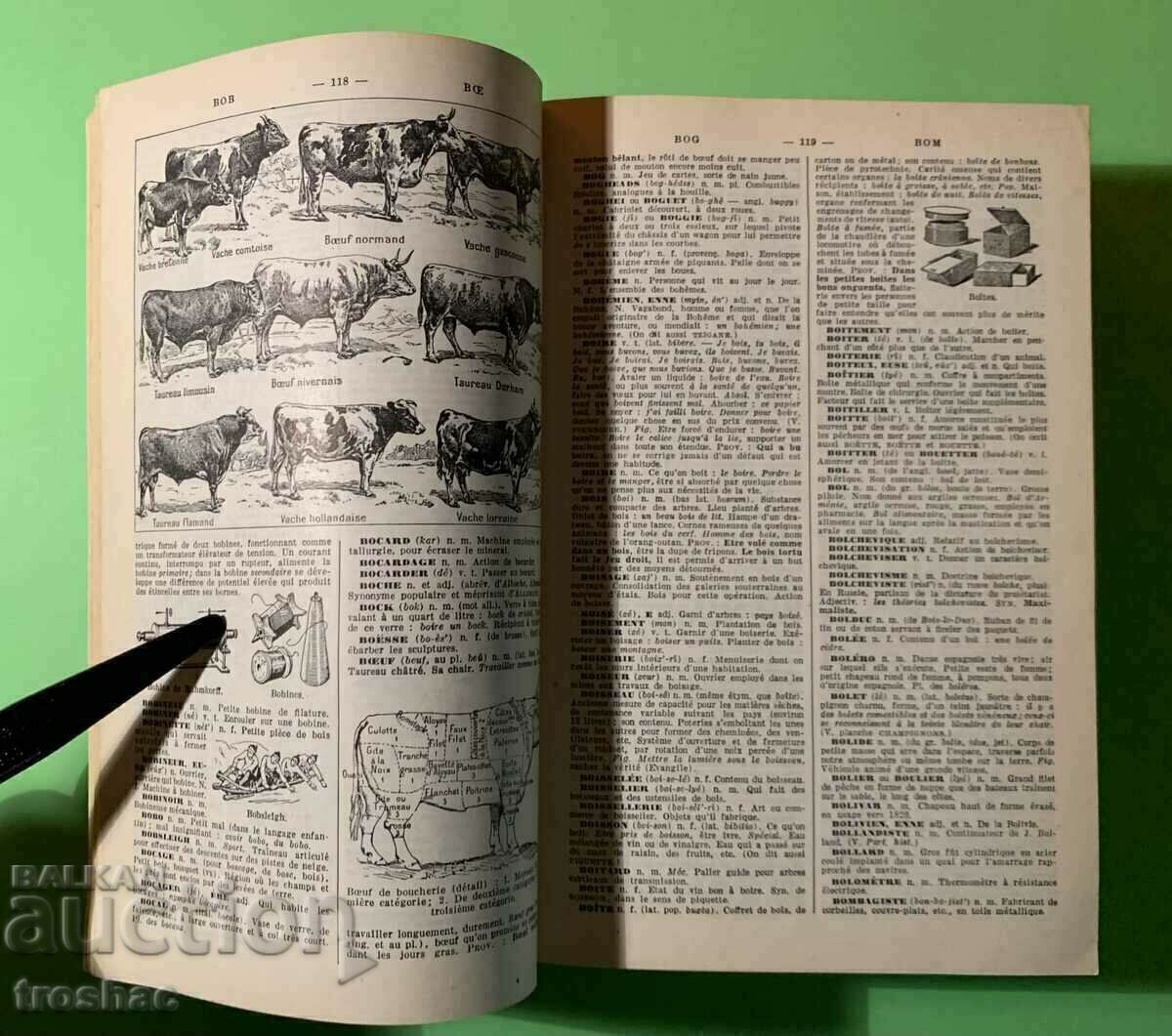 Old Book ILLUSTRATED ENCYCLOPEDIC DICTIONARY 1958 - 5 Old Book ILLUSTRATED ENCYCLOPEDIC DICTIONARY 1958 - 5
