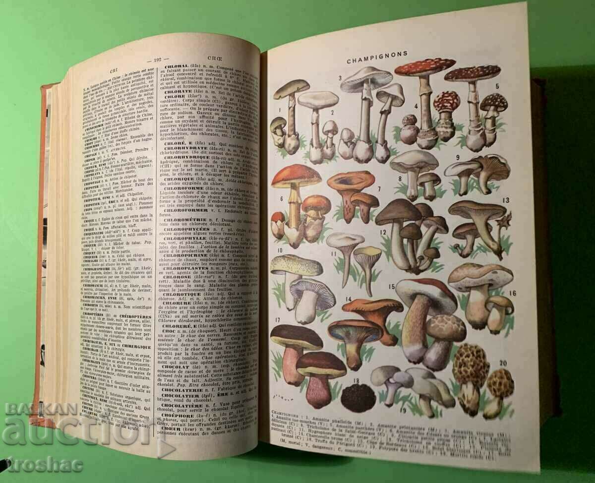 Old Book ILLUSTRATED ENCYCLOPEDIC DICTIONARY 1958 Old Book ILLUSTRATED ENCYCLOPEDIC DICTIONARY 1958