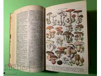 Old Book ILLUSTRATED ENCYCLOPEDIC DICTIONARY 1958