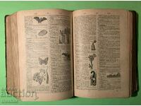 Old Book ILLUSTRATED ENCYCLOPEDIC DICTIONARY 1908